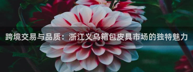 辉达娱乐五39444