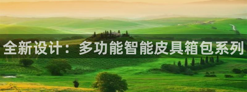 龙腾辉达电子娱乐