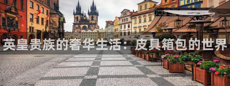 辉达娱乐多少年