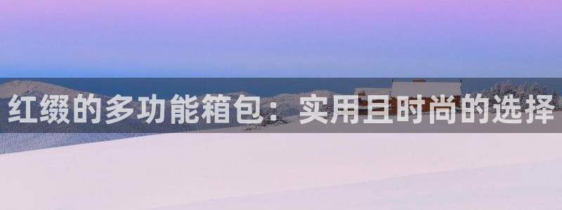 龙腾辉达电子娱乐