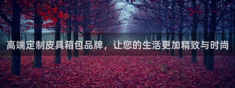 代理辉达娱乐平台