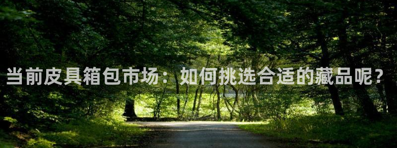 辉达娱乐丿75505