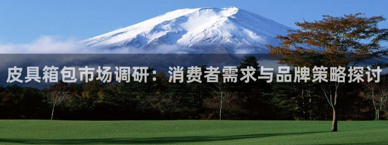 辉达娱乐计划软件