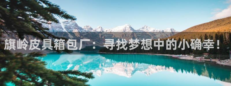 辉达平台官网电话