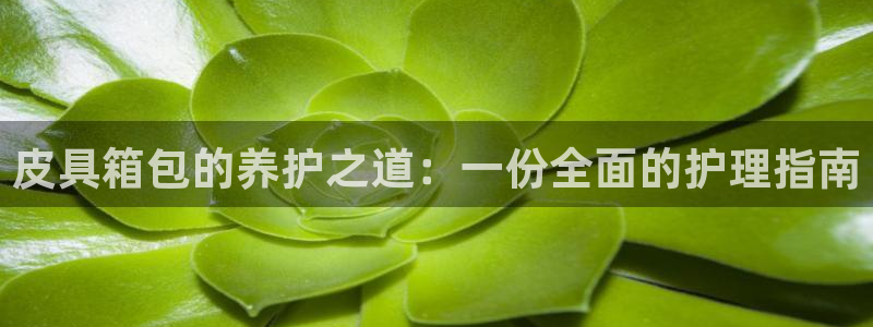 辉达平台注册资金多少