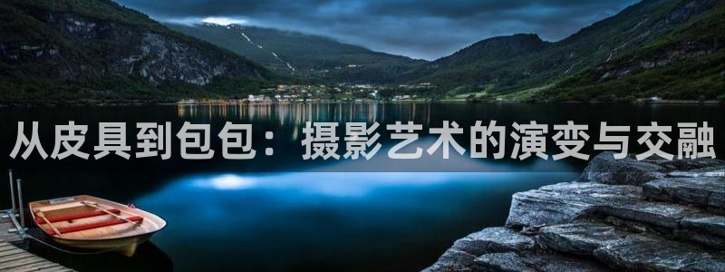 龙腾辉达电子娱乐