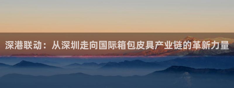 龙腾辉达电子娱乐