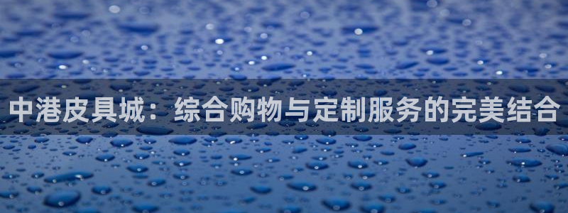 龙腾辉达电子娱乐