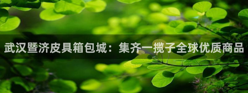 辉达娱乐排列三
