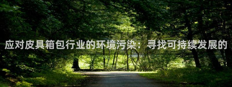 辉达娱乐平台