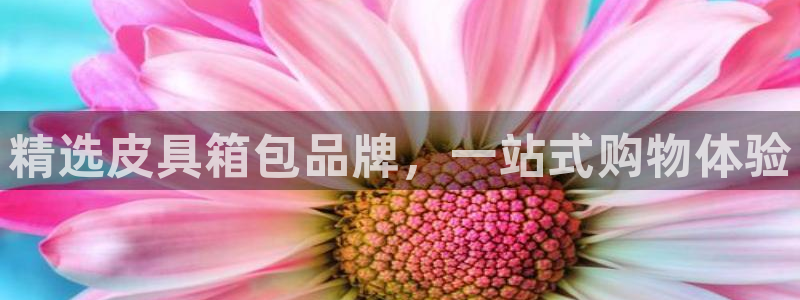 正规辉达娱乐在线游戏