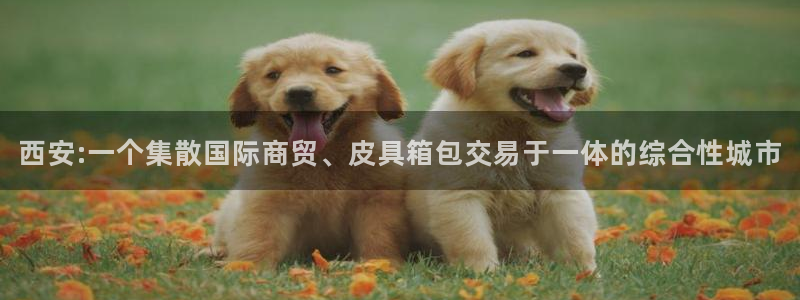 辉达娱乐加q75775稳定