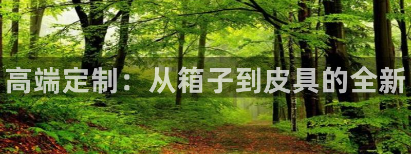 辉达娱乐己75505