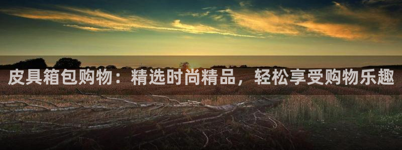 辉达娱乐多少年