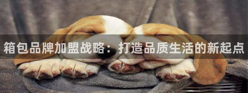 辉达娱乐珈75775