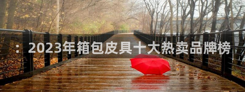 辉达平台注册资金多少