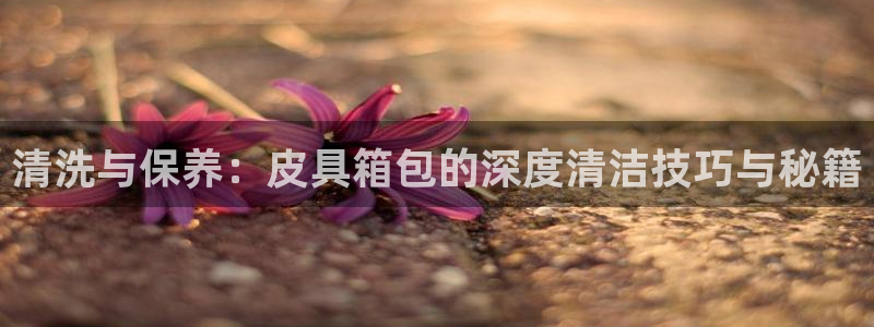 辉达娱乐公司