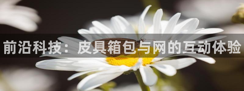 辉达娱乐开户注册