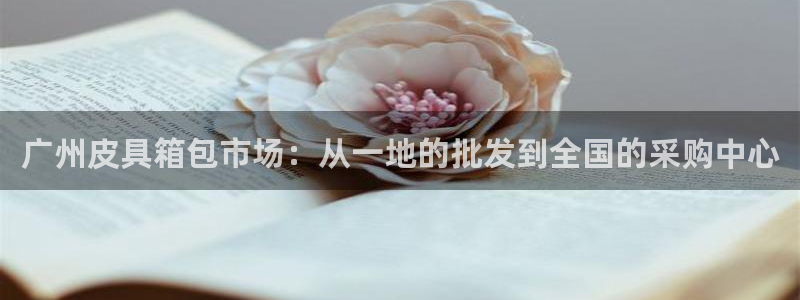 辉达平台官网登录