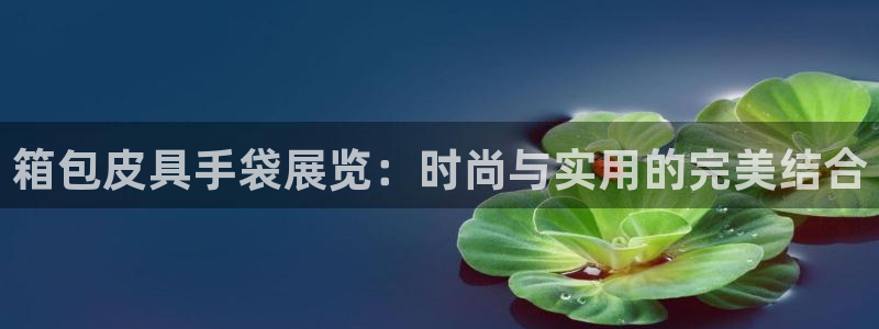 菲律宾辉达娱乐