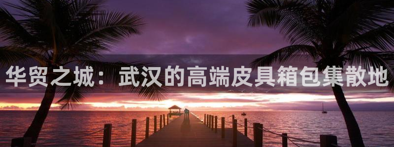 辉达集团官方网站