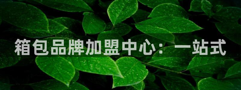 辉达娱乐属于什么档次