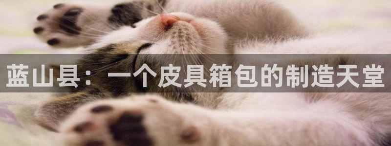 辉达平台注册资金多少