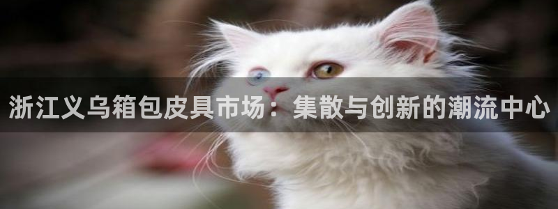辉达娱乐福彩