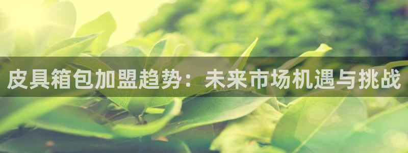 辉达娱乐丶75505