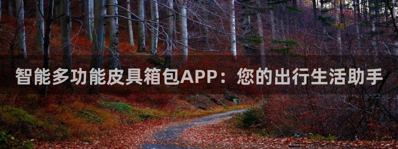 辉达娱乐加扣75775