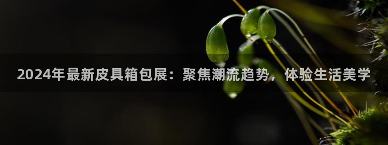 辉达娱乐丿75505