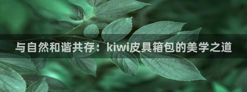 辉达娱乐丿75505