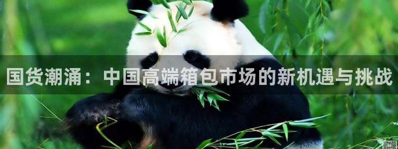 辉达娱乐属于什么档次