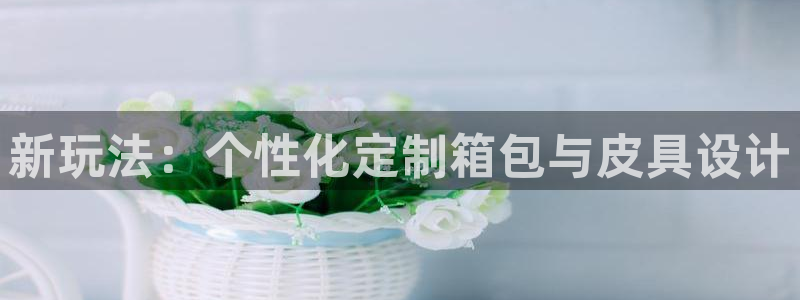 代理辉达娱乐