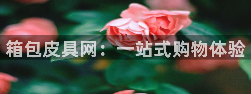 辉达娱乐己75505