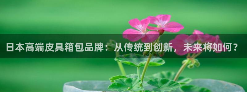 专业辉达娱乐平台