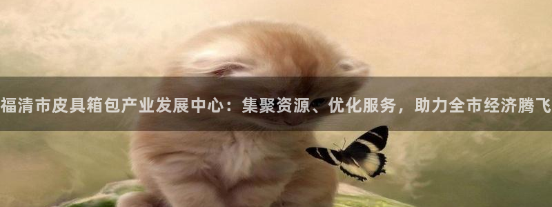 辉达娱乐计划软件