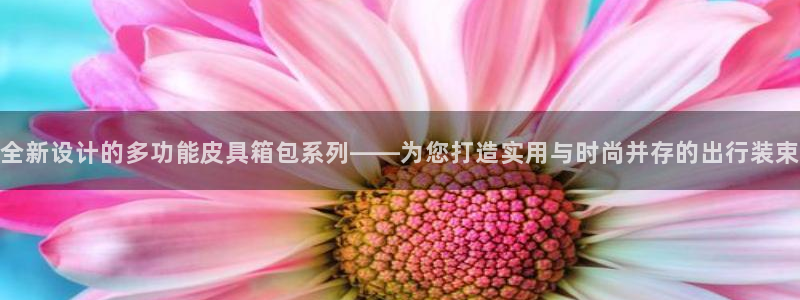 达利娱乐王辉