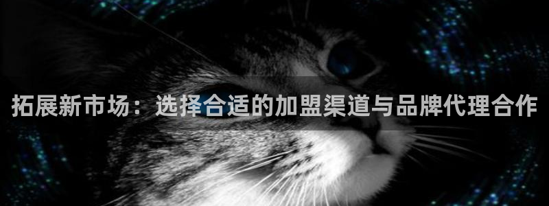辉达娱乐游戏.直开.中国