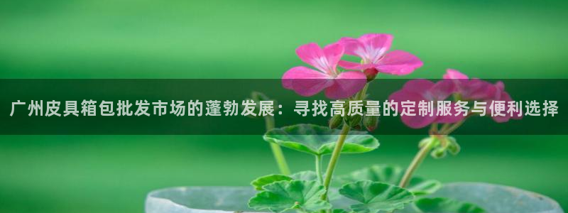 辉达娱乐平台