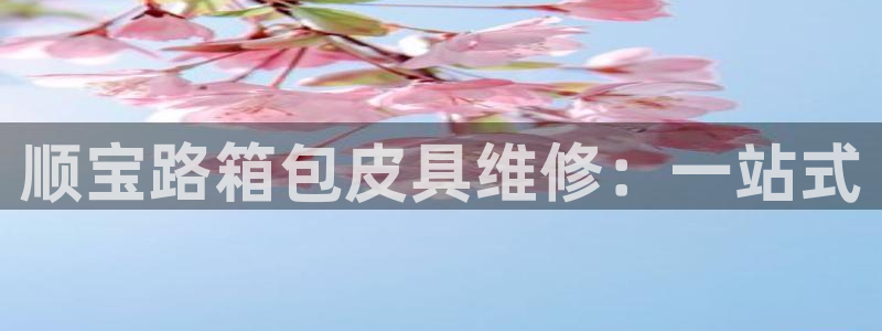 辉达娱乐官网